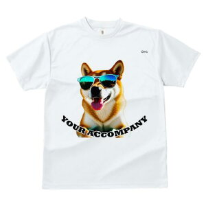 Č TVc  j[NfUCfB[X t@  t vg lJWA 킢 lԗp Mtg I ҏ΍ TOX Č