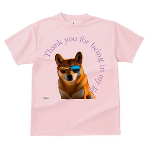 Č TVc  j[NfUCfB[X t@  t vg lJWA 킢 lԗp Mtg I ҏ΍ TOX Č