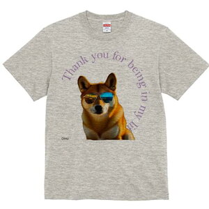 Č TVc  j[NfUCfB[X t@  t vg lJWA 킢 lԗp Mtg I ҏ΍ TOX Č