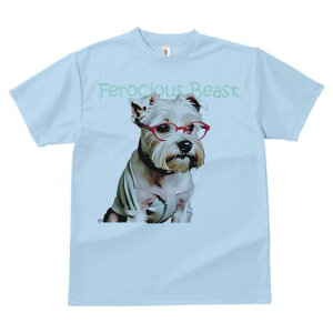 EGXgnChzCgeA TVc  j[NfUCfB[X t@  t vg lJWA 킢 lԗp Mtg I ҏ΍ Kl EGXgnC