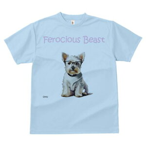 EGXgnChzCgeA TVc  j[NfUCfB[X t@  t vg lJWA 킢 lԗp Mtg I ҏ΍ Kl EGXgnC