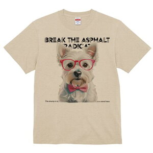 EGXgnChzCgeA TVc  j[NfUCfB[X t@  t vg lJWA 킢 lԗp Mtg I ҏ΍ Kl EGXgnC