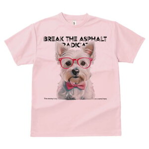 EGXgnChzCgeA TVc  j[NfUCfB[X t@  t vg lJWA 킢 lԗp Mtg I ҏ΍ Kl EGXgnC