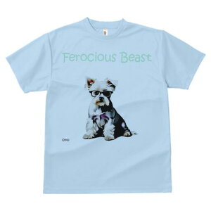 [NV[eA TVc  j[NfUCY LbY t@  t vg lJWA 킢 lԗp Mtg I ҏ΍ Kl [NV[eA