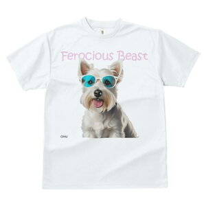 EGXgnChzCgeA TVc  j[NfUCfB[X t@  t vg lJWA 킢 lԗp Mtg I ҏ΍ TOX EGXgn