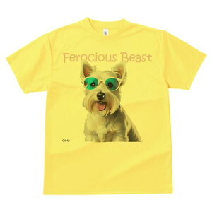 EGXgnChzCgeA TVc  j[NfUCfB[X t@  t vg lJWA 킢 lԗp Mtg I ҏ΍ TOX EGXgn