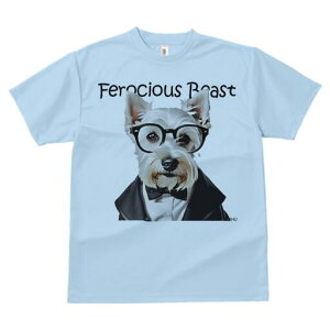 EGXgnChzCgeA TVc  j[NfUCY LbY t@  t vg lJWA 킢 lԗp Mtg I ҏ΍ Kl EGXgn