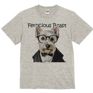 EGXgnChzCgeA TVc  j[NfUCY LbY t@  t vg lJWA 킢 lԗp Mtg I ҏ΍ Kl EGXgn