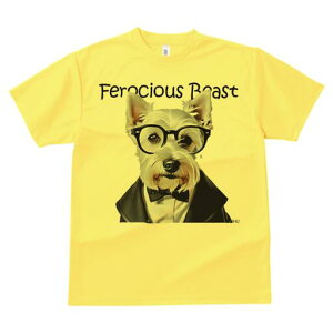 EGXgnChzCgeA TVc  j[NfUCY LbY t@  t vg lJWA 킢 lԗp Mtg I ҏ΍ Kl EGXgn