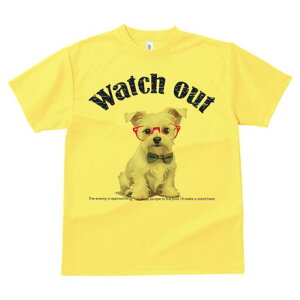 EGXgnChzCgeA TVc  j[NfUCfB[X t@  t vg lJWA 킢 lԗp Mtg I ҏ΍ Kl EGXgnC