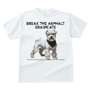 ~j`AViEU[ TVc  j[NfUCfB[X t@  t vg lJWA 킢 lԗp Mtg I ҏ΍ Kl ~j`AViEU[ 