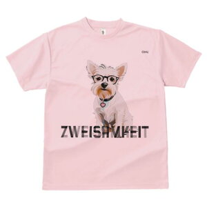 EGXgnChzCgeA TVc  j[NfUCfB[X t@  t vg lJWA 킢 lԗp Mtg I ҏ΍ Kl EGXgnC