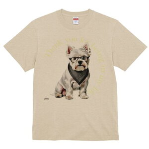 EGXgnChzCgeA TVc  j[NfUCfB[X t@  t vg lJWA 킢 lԗp Mtg I ҏ΍ Kl EGXgnC