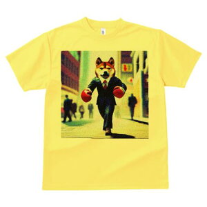 Č TVc  j[NfUCY LbY t@  t vg lJWA 킢 lԗp Mtg I ҏ΍ X[c Č {NVOO[u rWlX Xg