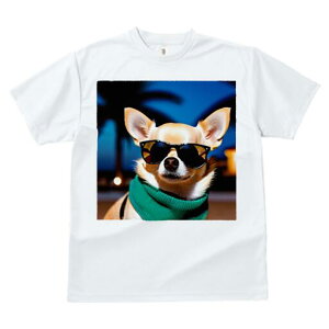 ` TVc  j[NfUCfB[X t@  t vg lJWA 킢 lԗp Mtg I ҏ΍ TOX ` V̖ XJ[t