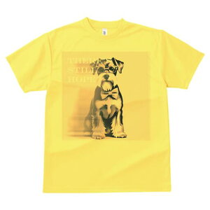 ~j`AViEU[ TVc  j[NfUCfB[X t@  t vg lJWA 킢 lԗp Mtg I ҏ΍ Kl ~j`AViEU[ 