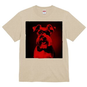 ~j`AViEU[ TVc  j[NfUCY LbY t@  t vg lJWA 킢 lԗp Mtg I ҏ΍ Kl ~j`AViEU