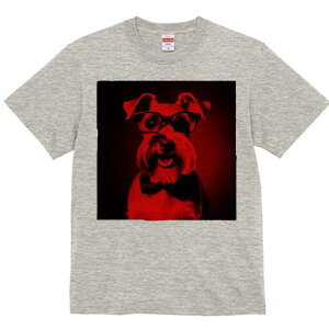 ~j`AViEU[ TVc  j[NfUCY LbY t@  t vg lJWA 킢 lԗp Mtg I ҏ΍ Kl ~j`AViEU