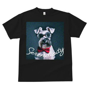 ~j`AViEU[ TVc  j[NfUCfB[X t@  t vg lJWA 킢 lԗp Mtg I ҏ΍ lN^C ~j`AViEU