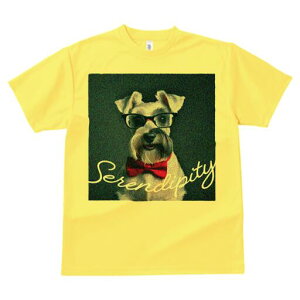 ~j`AViEU[ TVc  j[NfUCfB[X t@  t vg lJWA 킢 lԗp Mtg I ҏ΍ lN^C ~j`AViEU