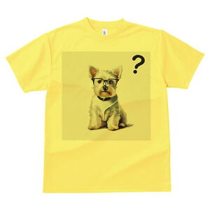 EGXgnChzCgeA TVc  j[NfUCfB[X t@  t vg lJWA 킢 lԗp Mtg I ҏ΍ Kl EGXgnC