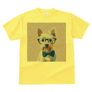 EGXgnChzCgeA TVc  j[NfUCfB[X t@  t vg lJWA 킢 lԗp Mtg I ҏ΍ Kl EGXgnC