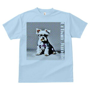 [NV[eA TVc  j[NfUCfB[X t@  t vg lJWA 킢 lԗp Mtg I ҏ΍ Kl [NV[eA