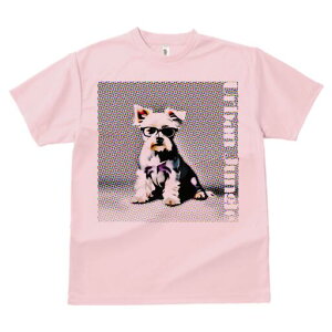 [NV[eA TVc  j[NfUCfB[X t@  t vg lJWA 킢 lԗp Mtg I ҏ΍ Kl [NV[eA