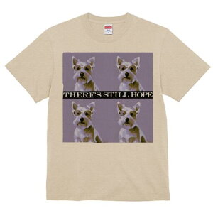 EGXgnChzCgeA TVc  j[NfUCfB[X t@  t vg lJWA 킢 lԗp Mtg I ҏ΍ TOX EGXgn