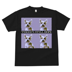 EGXgnChzCgeA TVc  j[NfUCY LbY t@  t vg lJWA 킢 lԗp Mtg I ҏ΍ TOX EGX