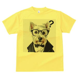 EGXgnChzCgeA TVc  j[NfUCfB[X t@  t vg lJWA 킢 lԗp Mtg I ҏ΍ lN^C EGXgn