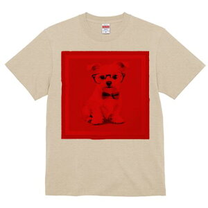 }`[Y TVc  j[NfUCfB[X t@  t vg lJWA 킢 lԗp Mtg I ҏ΍ Kl }`[Y lN^C