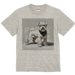 ~j`AViEU[ TVc  j[NfUCfB[X t@  t vg lJWA 킢 lԗp Mtg I ҏ΍ Kl ~j`AViEU[ 