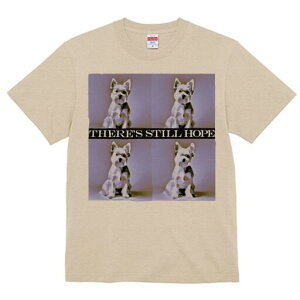 EGXgnChzCgeA TVc  j[NfUCfB[X t@  t vg lJWA 킢 lԗp Mtg I ҏ΍ EGXgnChz