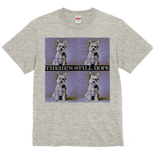 EGXgnChzCgeA TVc  j[NfUCY LbY t@  t vg lJWA 킢 lԗp Mtg I ҏ΍ EGXgnCh