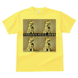 �E�G�X�g�n�C�����h�z���C�g�e���A T�V���c ���� ���j�[�N�f�U�C�����f�B�[�X ���t�@�� ���� �t�� �v�����g ��l�J�W���A�� ���킢�� �l�ԗp �M�t�g ���I �ҏ��΍� �E�G�X�g�n�C�����h�z