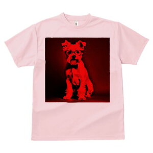 ~j`AViEU[ TVc  j[NfUCfB[X t@  t vg lJWA 킢 lԗp Mtg I ҏ΍ Kl ~j`AViEU[ 