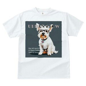 EGXgnChzCgeA TVc  j[NfUCfB[X t@  t vg lJWA 킢 lԗp Mtg I ҏ΍ Kl EGXgnC