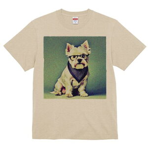 EGXgnChzCgeA TVc  j[NfUCfB[X t@  t vg lJWA 킢 lԗp Mtg I ҏ΍ Kl EGXgnC