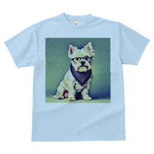 EGXgnChzCgeA TVc  j[NfUCfB[X t@  t vg lJWA 킢 lԗp Mtg I ҏ΍ Kl EGXgnC