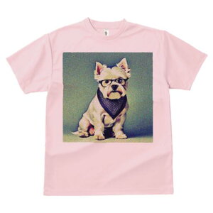 EGXgnChzCgeA TVc  j[NfUCY LbY t@  t vg lJWA 킢 lԗp Mtg I ҏ΍ Kl EGXgn