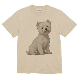 EGXgnChzCgeA TVc  j[NfUCfB[X t@  t vg lJWA 킢 lԗp Mtg I ҏ΍ EGXgnChz