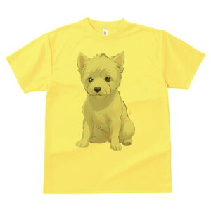 EGXgnChzCgeA TVc  j[NfUCfB[X t@  t vg lJWA 킢 lԗp Mtg I ҏ΍ EGXgnChz