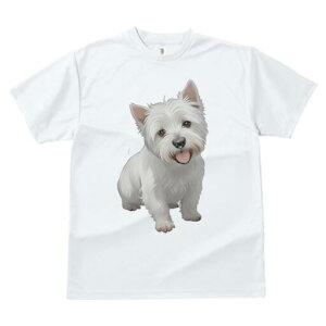 EGXgnChzCgeA TVc  j[NfUCfB[X t@  t vg lJWA 킢 lԗp Mtg I ҏ΍ EGXgnChz