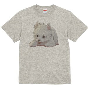 EGXgnChzCgeA TVc  j[NfUCfB[X t@  t vg lJWA 킢 lԗp Mtg I ҏ΍ EGXgnChz