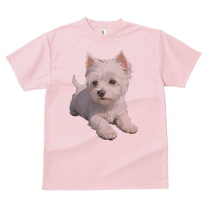 EGXgnChzCgeA TVc  j[NfUCY LbY t@  t vg lJWA 킢 lԗp Mtg I ҏ΍ EGXgnCh