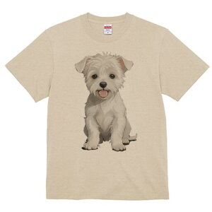 }`[Y TVc  j[NfUCfB[X t@  t vg lJWA 킢 lԗp Mtg I ҏ΍ ybg }`[Y 킢 q 