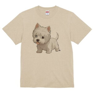 EGXgnChzCgeA TVc  j[NfUCfB[X t@  t vg lJWA 킢 lԗp Mtg I ҏ΍ EGXgnChz