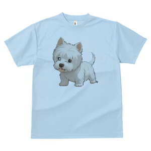 EGXgnChzCgeA TVc  j[NfUCY LbY t@  t vg lJWA 킢 lԗp Mtg I ҏ΍ EGXgnCh