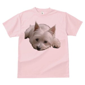 EGXgnChzCgeA TVc  j[NfUCY LbY t@  t vg lJWA 킢 lԗp Mtg I ҏ΍ EGXgnCh